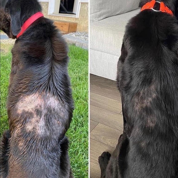 Multi-patented Liquid BioCell - Liquid Collagen https://modere.co/3CKXFAh - Picture 5 of 16